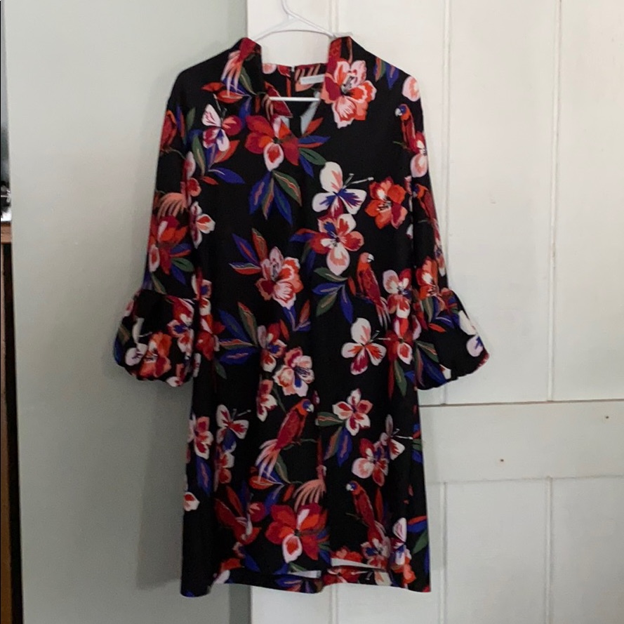Ny Company Brand New
